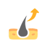 Maximum Hair Reduction